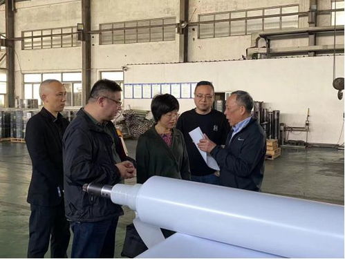 同舟共济 共谋发展 区四套班子领导开展 稳企助企 稳进提质 走访活动