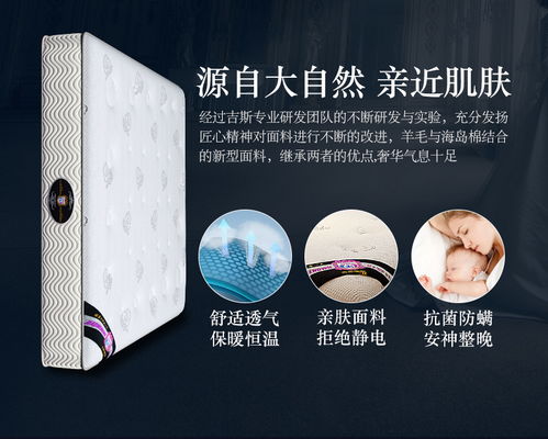 吉斯乳胶床垫席梦思椰棕垫加厚保暖双人1.8m弹簧记忆棉软硬两用价格,图片,参数 家具卧室家具床垫 北京房天下家居装修网